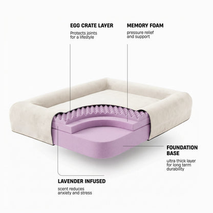 Premium Orthopedic Memory Foam Dog Bed - Beige (Medium) (LP)
