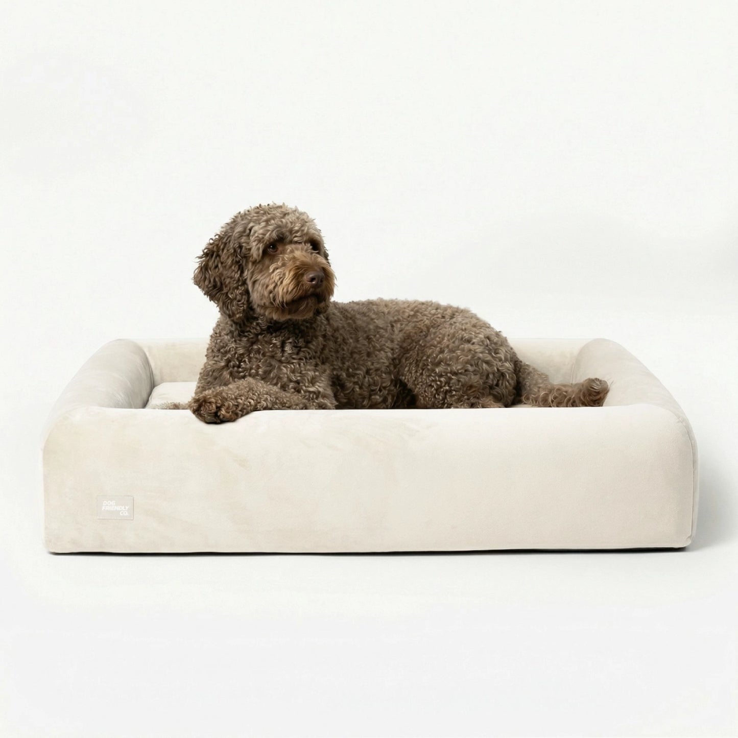 Premium Orthopedic Memory Foam Dog Bed - Beige (Large) (LP)