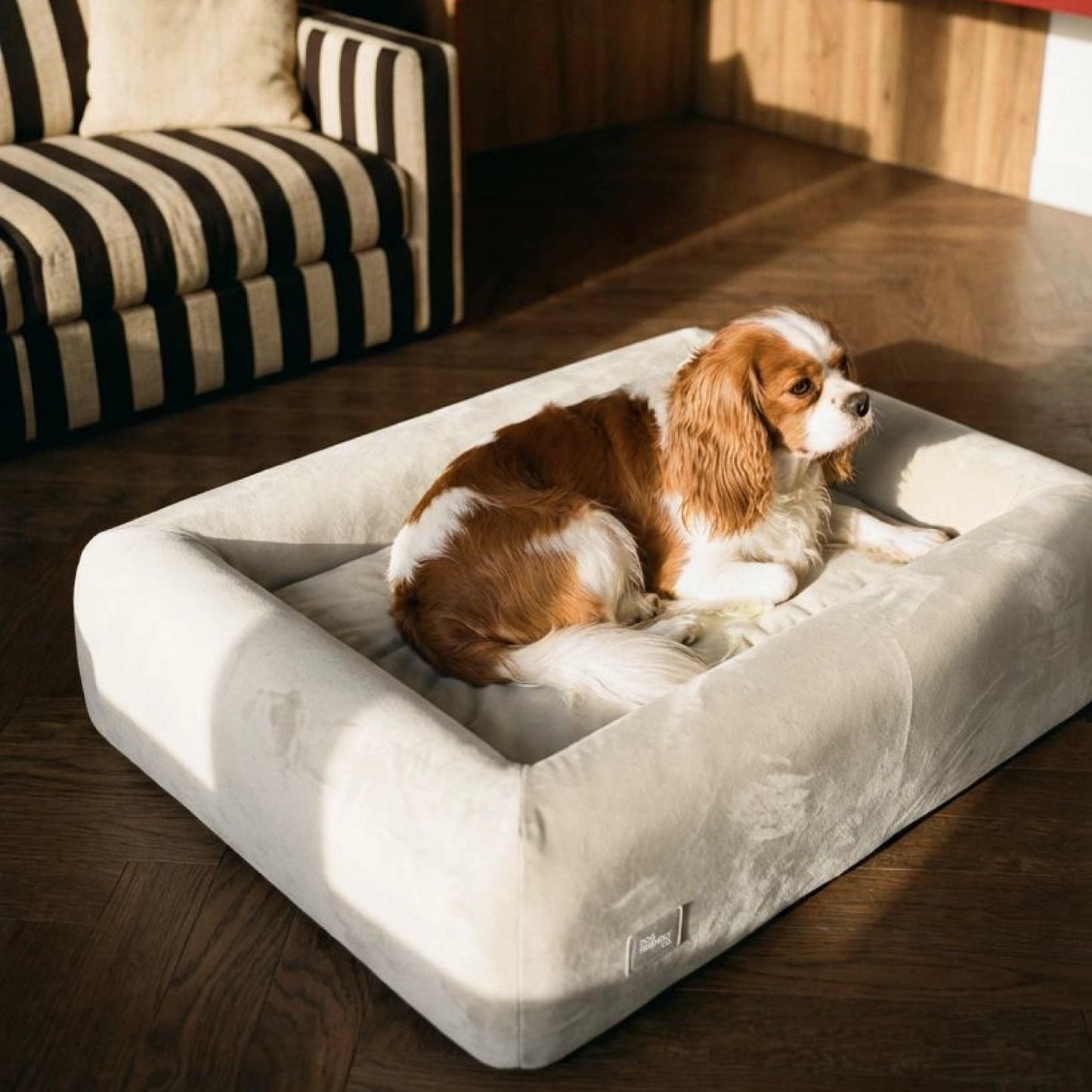 Premium Orthopedic Memory Foam Dog Bed - Beige (Medium) (LP)