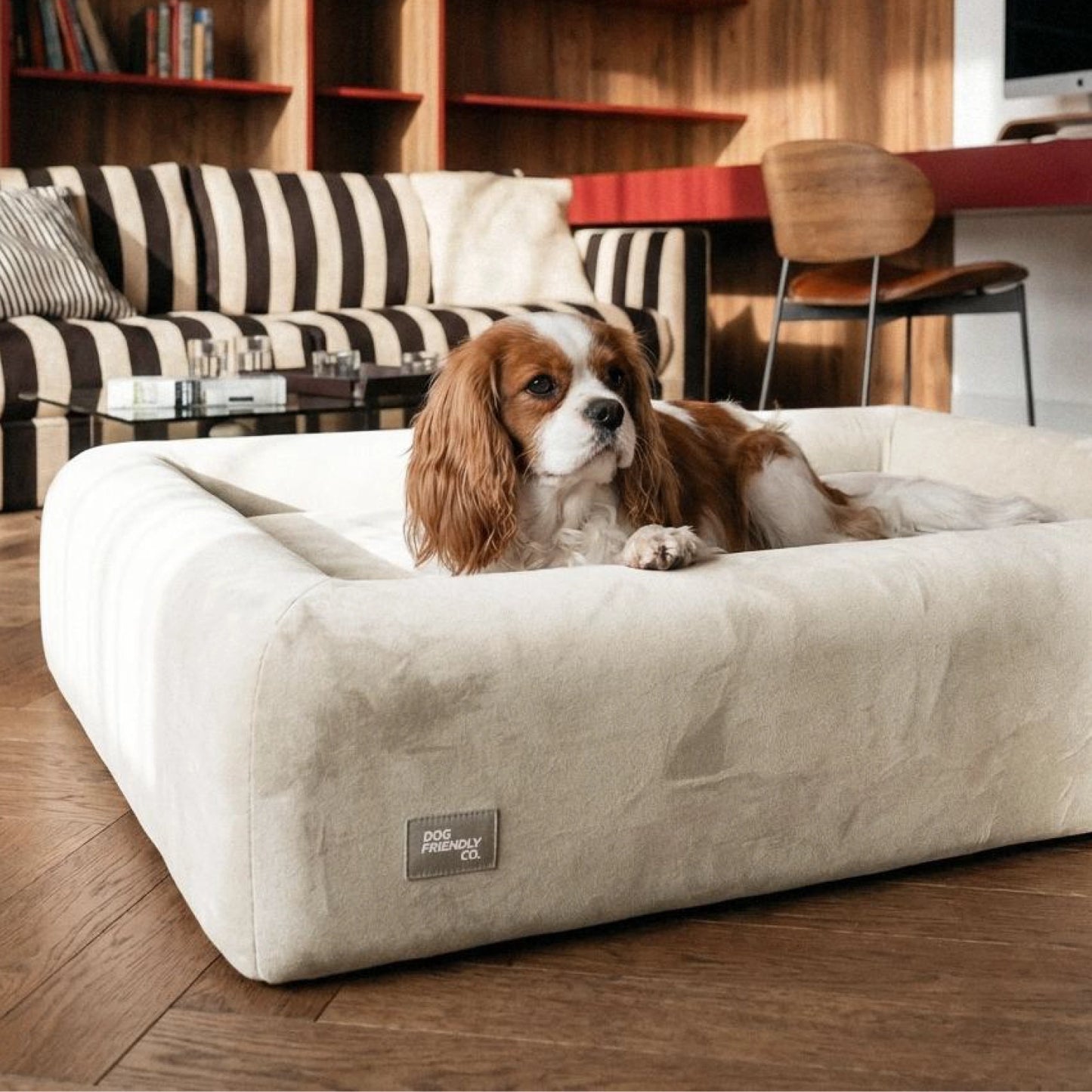 Premium Orthopedic Memory Foam Dog Bed - Beige (Medium) (LP)