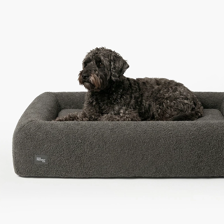 Premium Orthopedic Memory Foam Dog Bed - Brown Bouclé (Small) (LP)