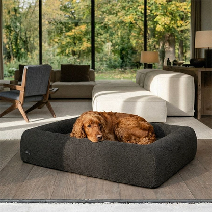 Premium Orthopedic Memory Foam Dog Bed - Brown Bouclé (Medium) (LP)
