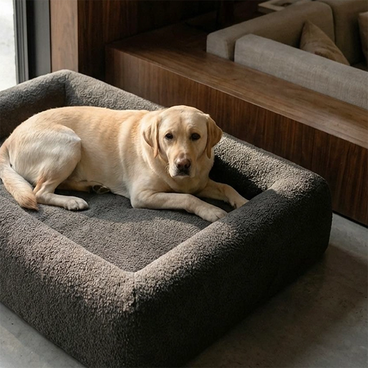 Premium Orthopedic Memory Foam Dog Bed - Brown Bouclé (Small) (LP)