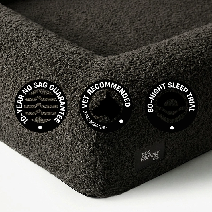 Premium Orthopedic Memory Foam Dog Bed - Brown Bouclé (Large) (LP)