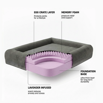 Premium Orthopedic Memory Foam Dog Bed - Charcoal (Medium) (LP)