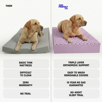 TRIPLE LAYER ORTHOPEDIC SUPPORT; EASY TO WASH REMOVABLE COVERS; 10 YEAR NO SAG GUARANTEE; 60-NIGHT SLEEP TRIAL.