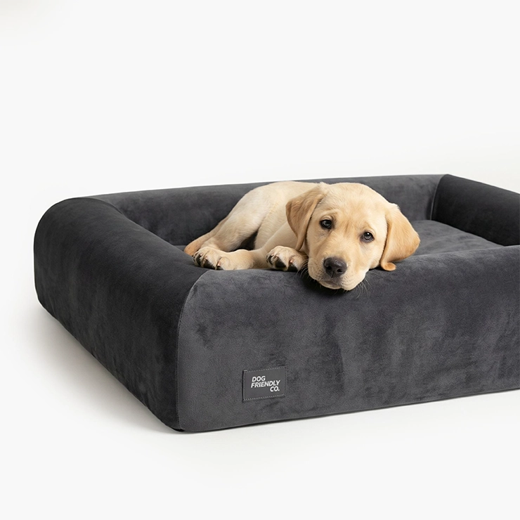 Premium Orthopedic Memory Foam Dog Bed - Charcoal (Large) (LP)