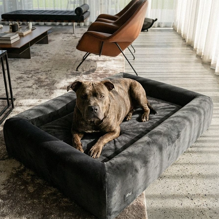 Premium Orthopedic Memory Foam Dog Bed - Charcoal (Medium)