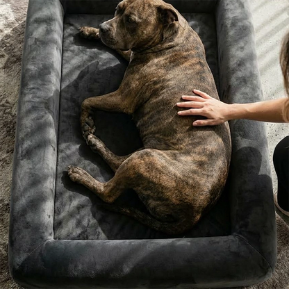 Premium Orthopedic Memory Foam Dog Bed - Charcoal (Large) (LP)