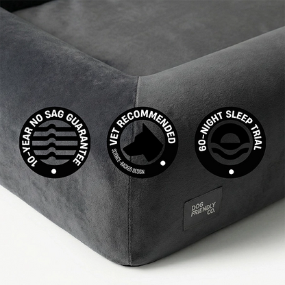 Premium Orthopedic Memory Foam Dog Bed - Charcoal (Medium) (LP)