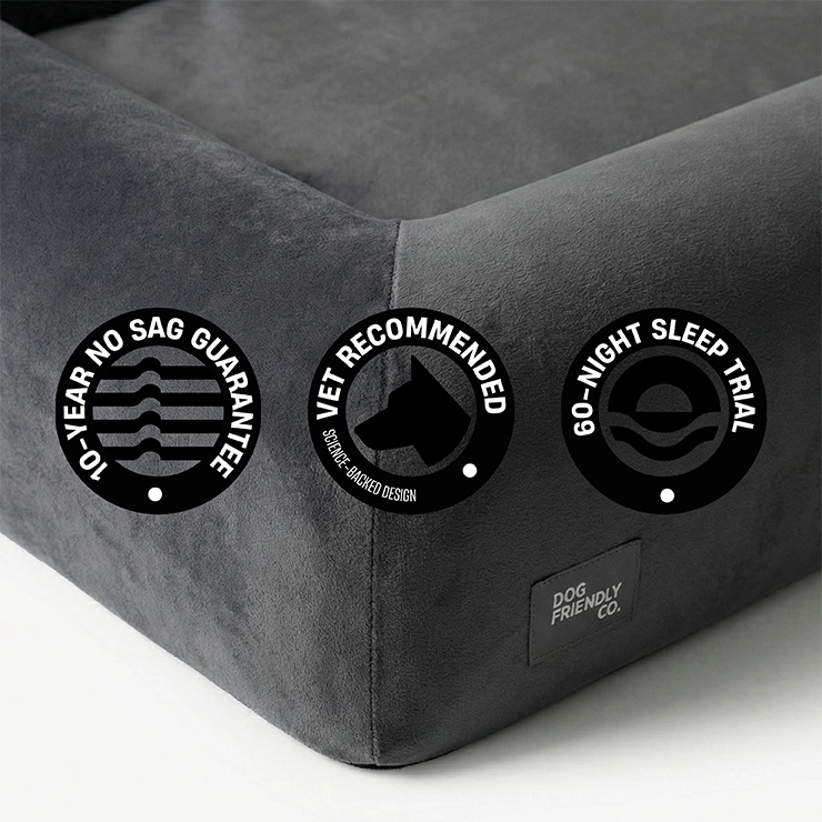 Premium Orthopedic Memory Foam Dog Bed - Charcoal (Small) (LP)