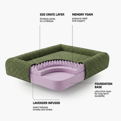 Premium Orthopedic Memory Foam Dog Bed - Green Bouclé (Small) (LP)