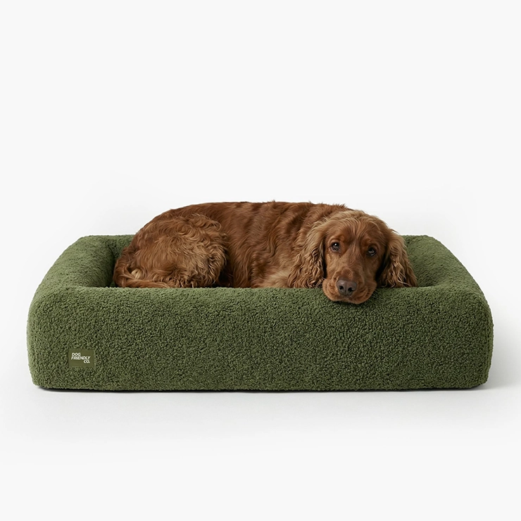 Premium Orthopedic Memory Foam Dog Bed - Green Bouclé (Large) (LP)