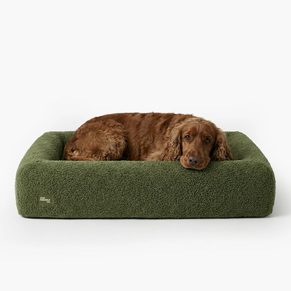 Premium Orthopedic Memory Foam Dog Bed - Green Bouclé (Small) (LP)