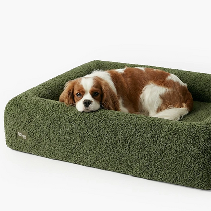 Premium Orthopedic Memory Foam Dog Bed - Green Bouclé (Medium) (LP)