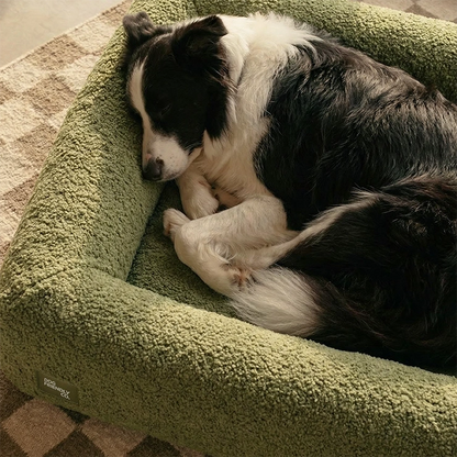 Premium Orthopedic Memory Foam Dog Bed - Green Bouclé (Small) (LP)
