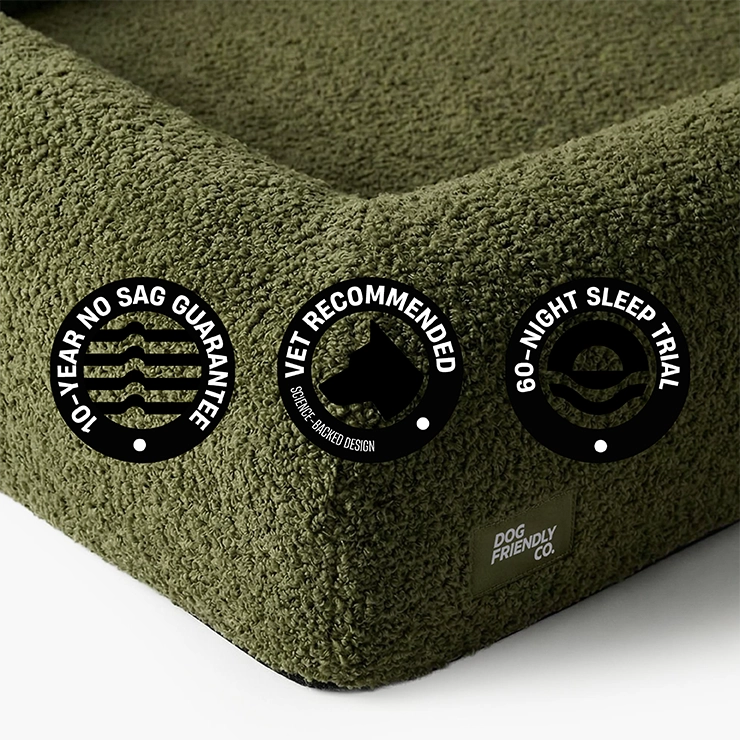 Premium Orthopedic Memory Foam Dog Bed - Green Bouclé (Medium) (LP)