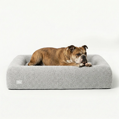 Premium Orthopedic Memory Foam Dog Bed - Grey Bouclé (Small) (LP)