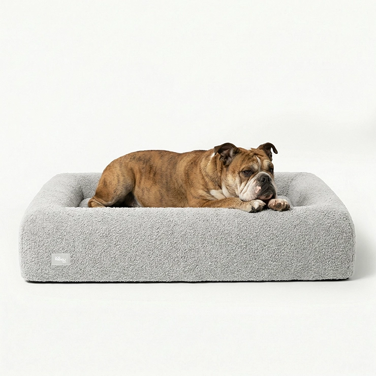 Premium Orthopedic Memory Foam Dog Bed - Grey Bouclé (Medium) (LP)