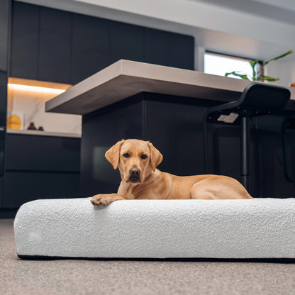 Grey Bouclé dog bed showing the removable water-resistant cover and protective waterproof liner.