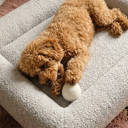 Premium Orthopedic Memory Foam Dog Bed - Grey Bouclé (Medium) (LP)