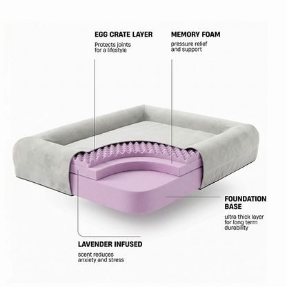Premium Orthopedic Memory Foam Dog Bed - Grey (Medium) (LP)