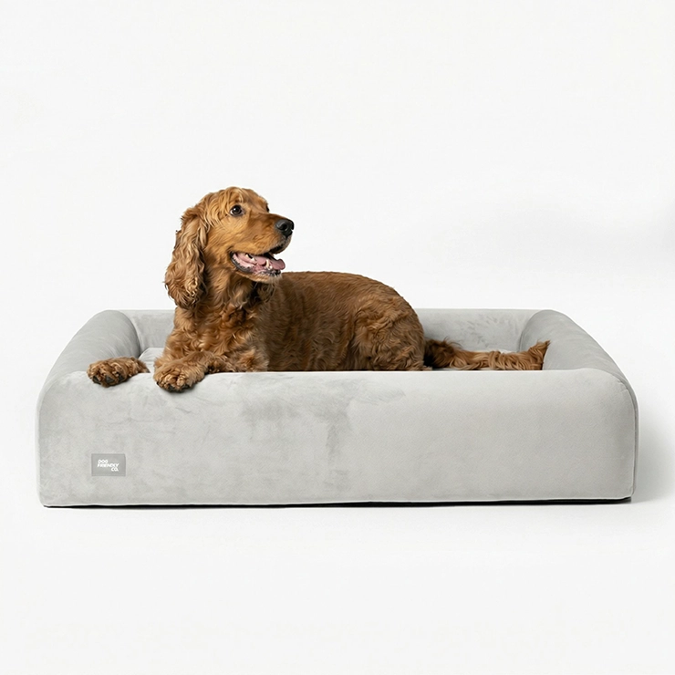 Premium Orthopedic Memory Foam Dog Bed - Grey (Medium) (LP)