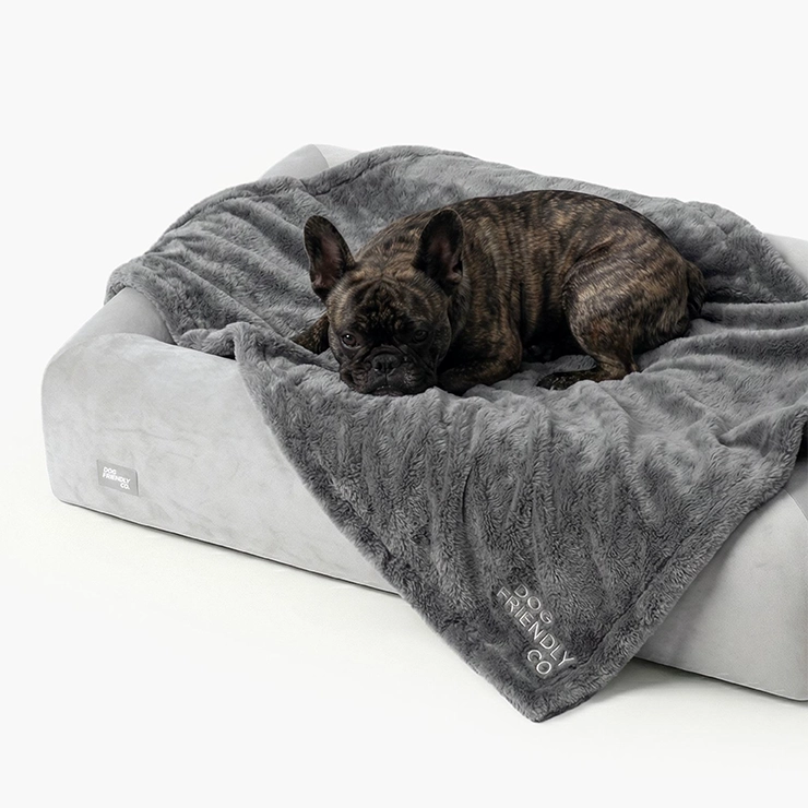 Premium Orthopedic Memory Foam Dog Bed - Grey (Small) (LP)