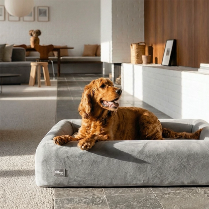 Premium Orthopedic Memory Foam Dog Bed - Grey (Small) (LP)
