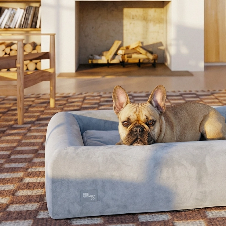 Premium Orthopedic Memory Foam Dog Bed - Grey (Small) (LP)
