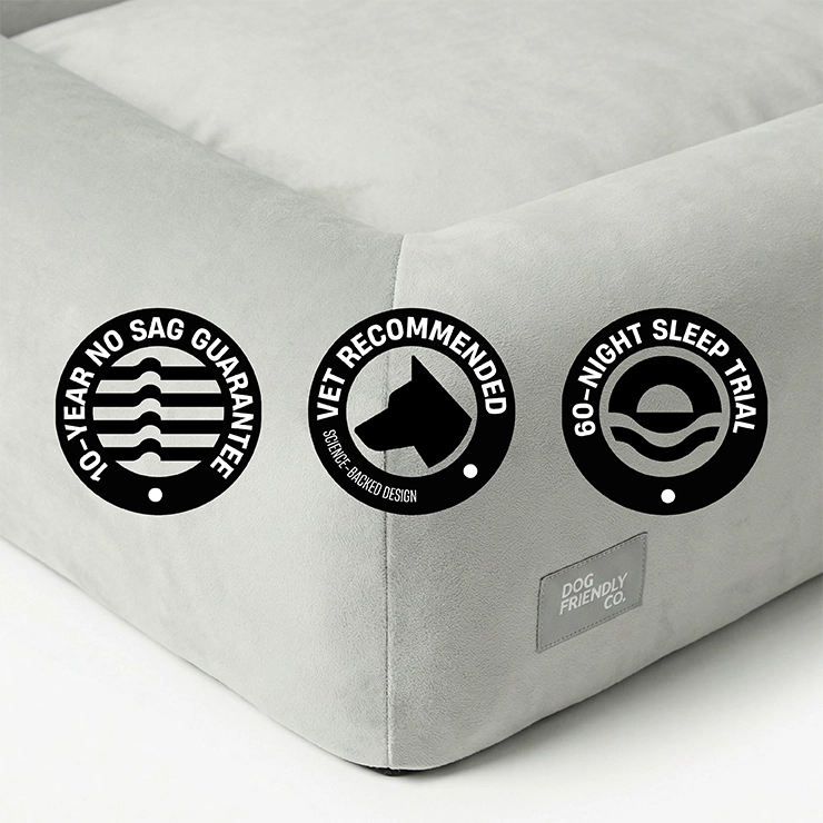 Premium Orthopedic Memory Foam Dog Bed - Grey (Small) (LP)