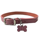 Essentials Collar - Orange