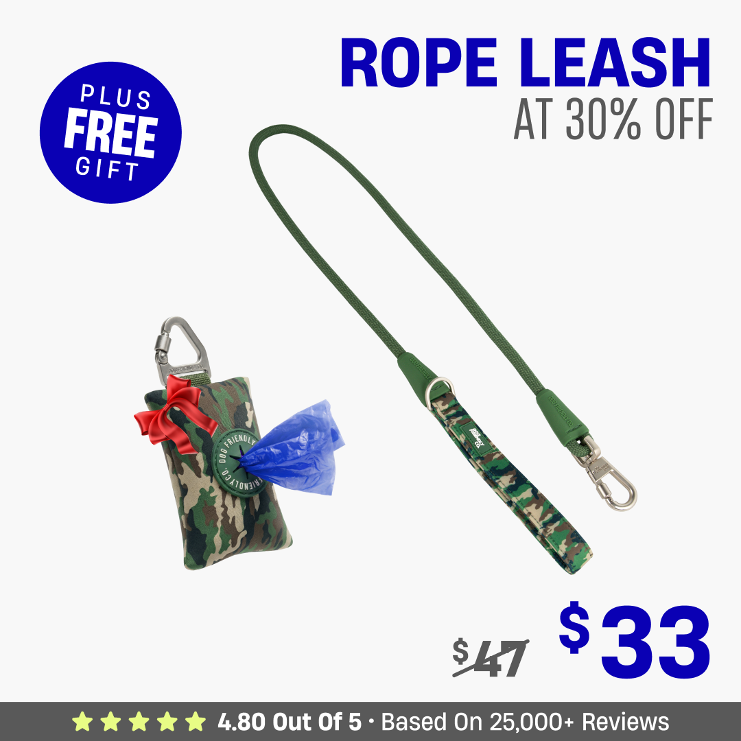 Get Leash at 30% OFF + FREE Poop Bag Holder