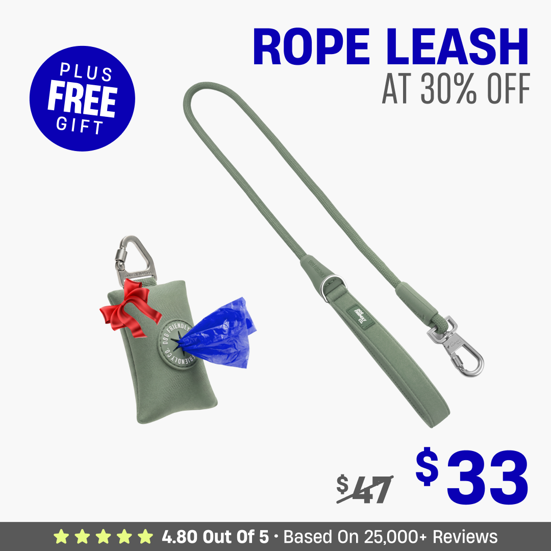 Get Leash at 30% OFF + FREE Poop Bag Holder