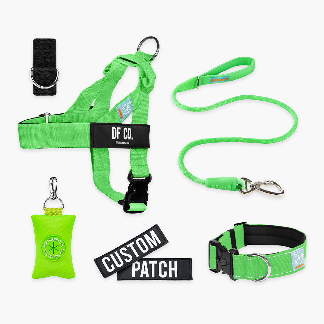 Ultimate No-Pull Bundle