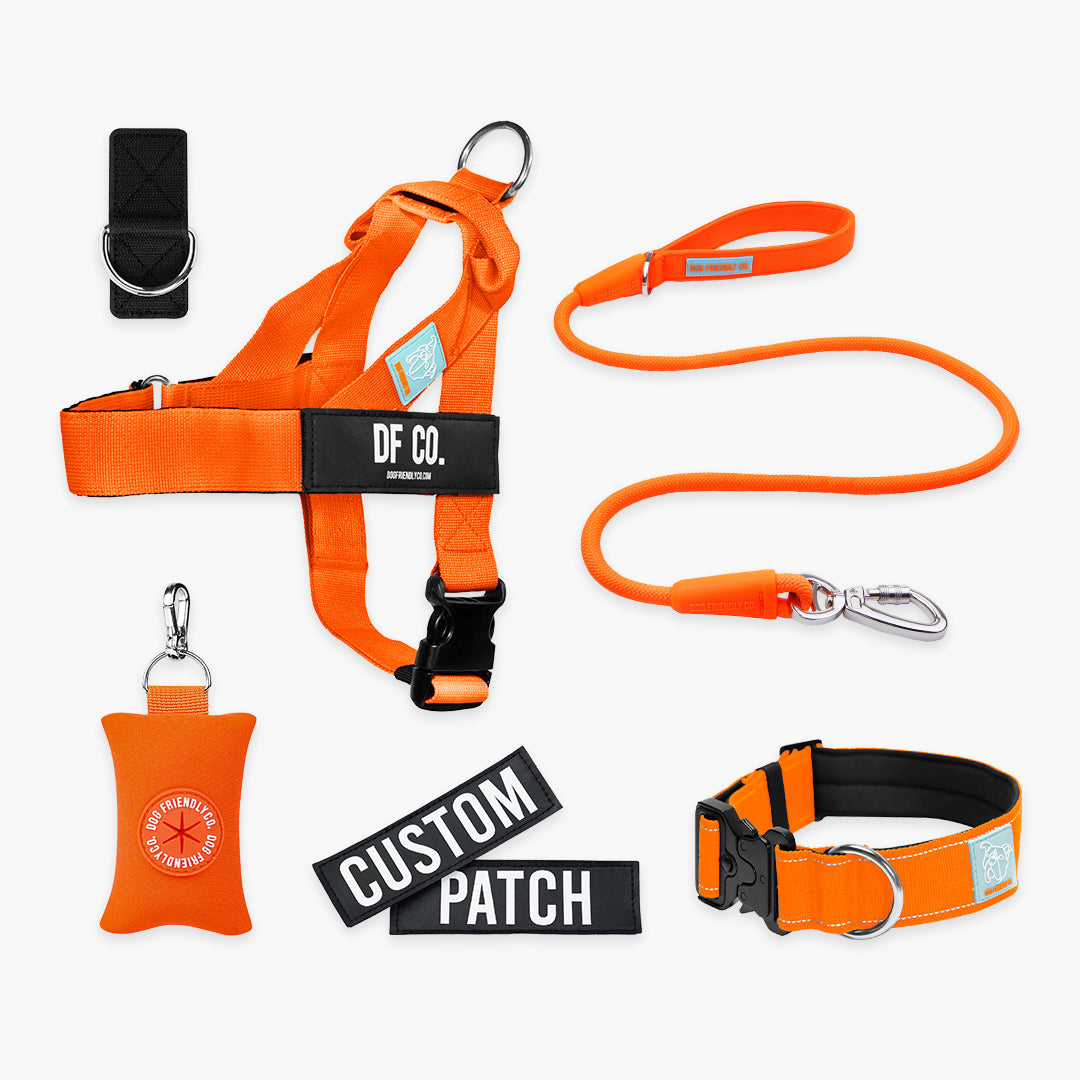 Ultimate No-Pull Bundle