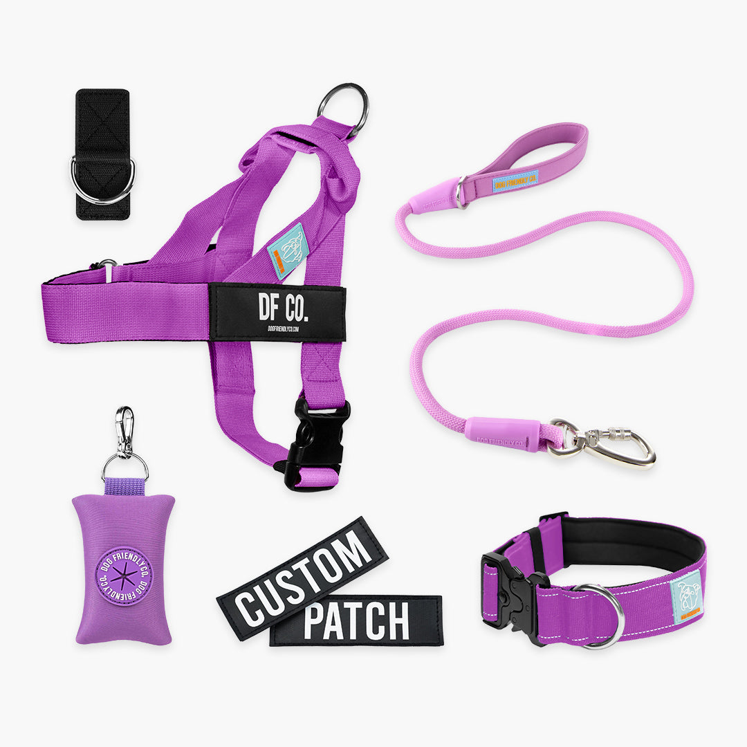 Ultimate No-Pull Bundle