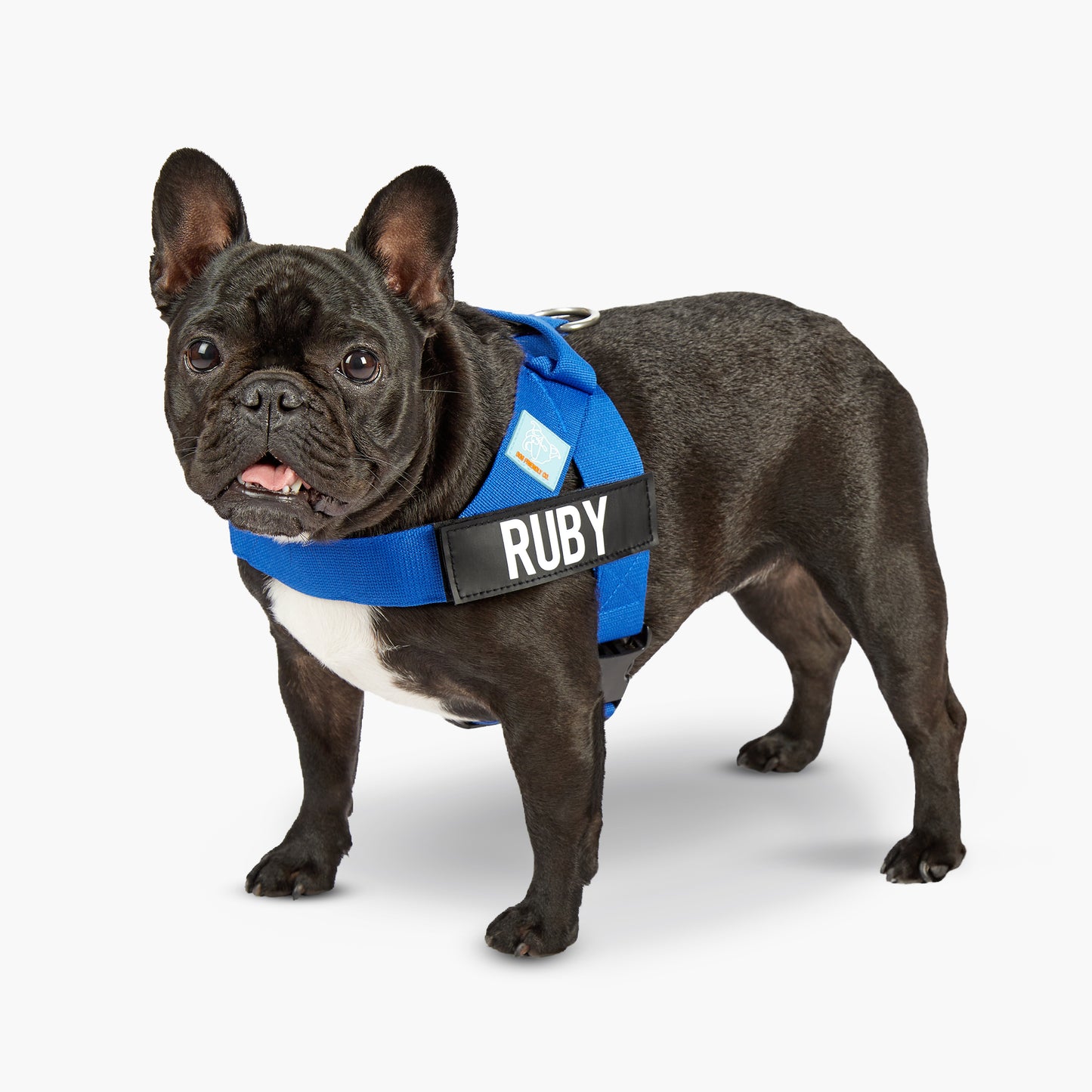 Ultimate No-Pull Bundle