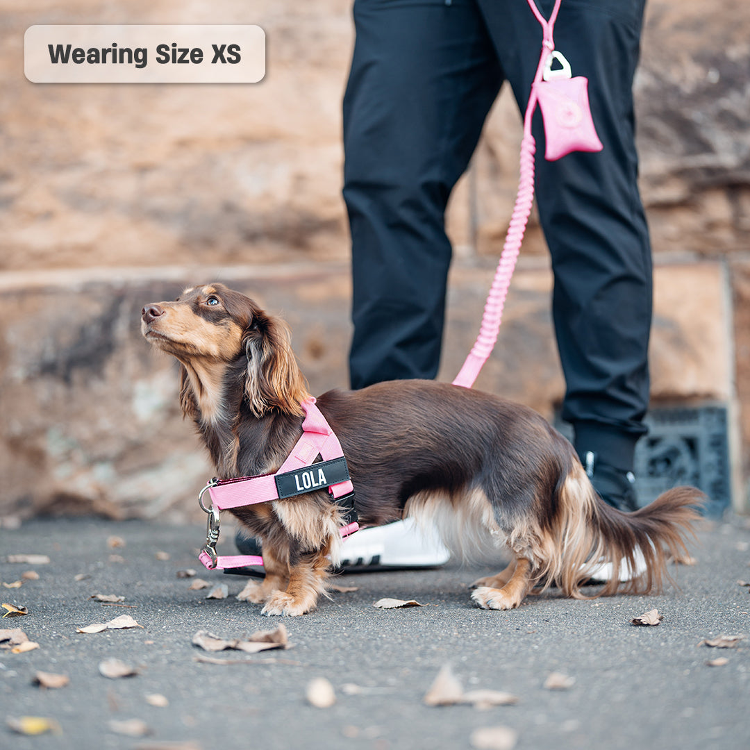 Signature Kit - Pink