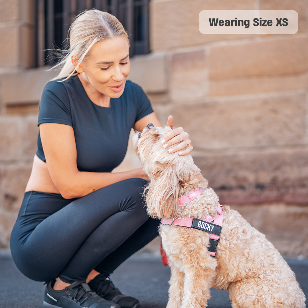 Signature Kit - Pink