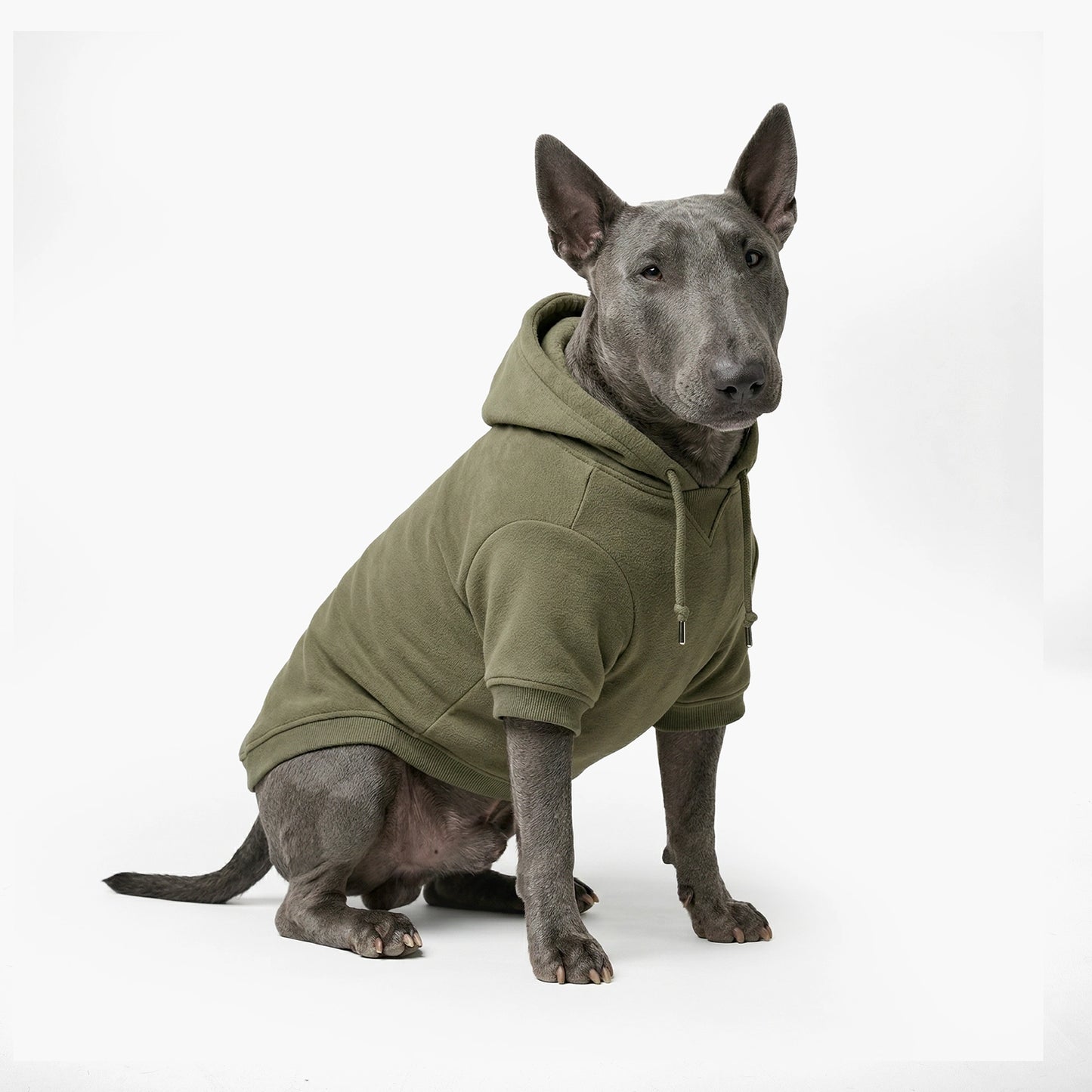 Signature Dog Hoodie - Khaki