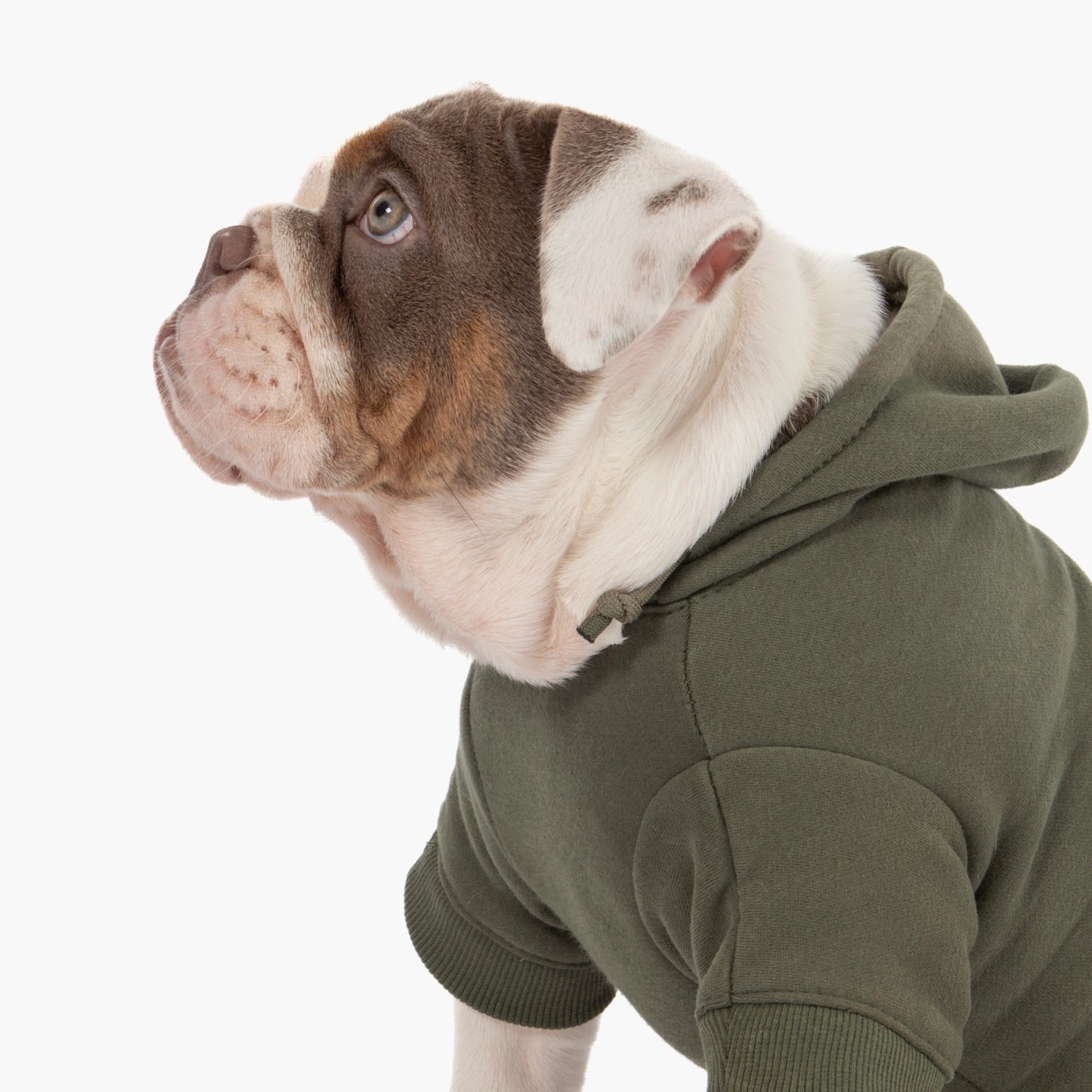 Signature Dog Hoodie - Khaki