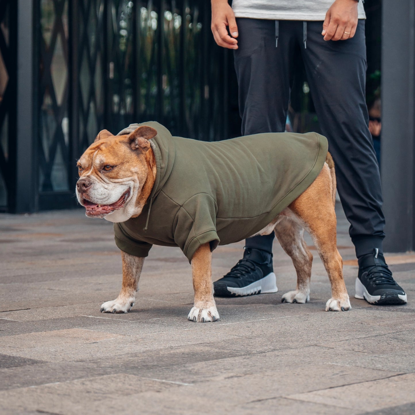 Signature Dog Hoodie - Khaki