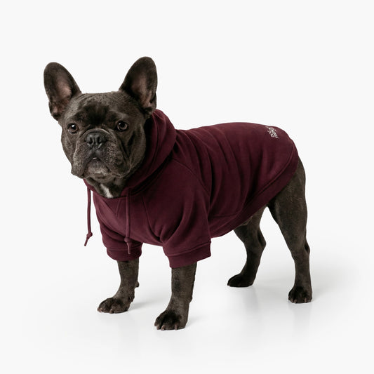 Signature Dog Hoodie - Maroon