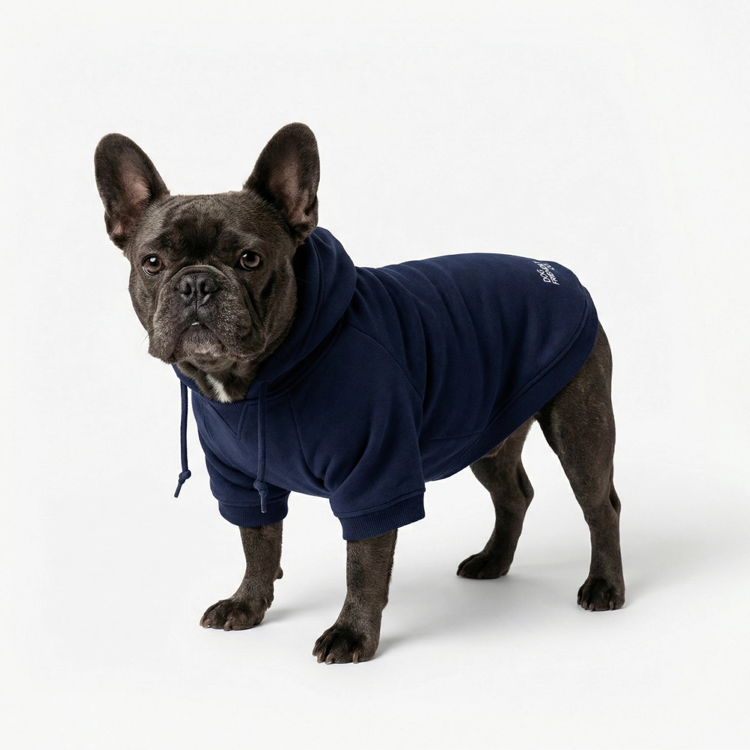 Winter Dog Hoodies