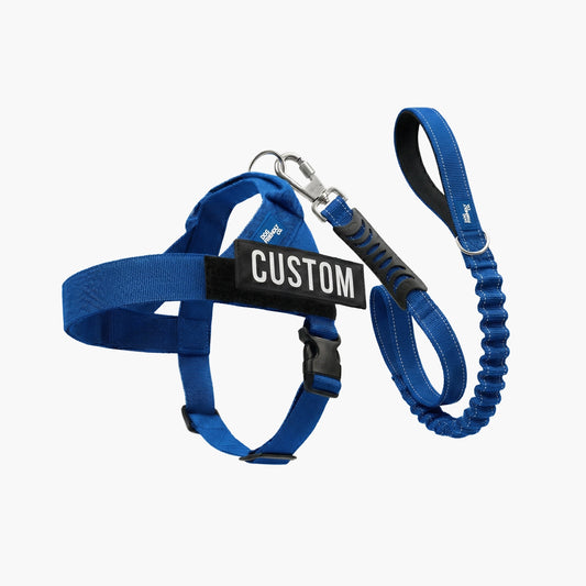 Signature Kit - Classic Blue