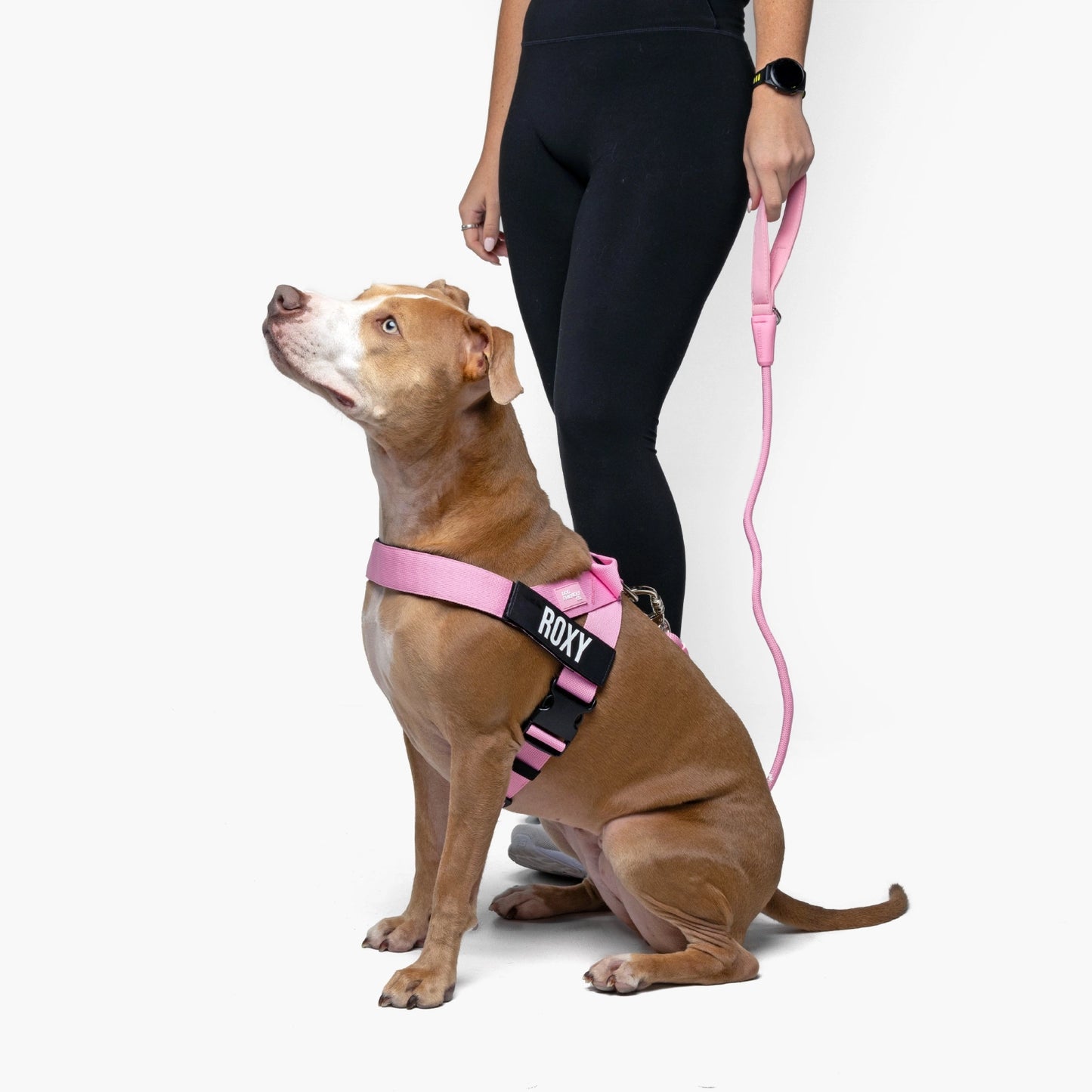 Signature Kit - Pink - FREE D-Ring