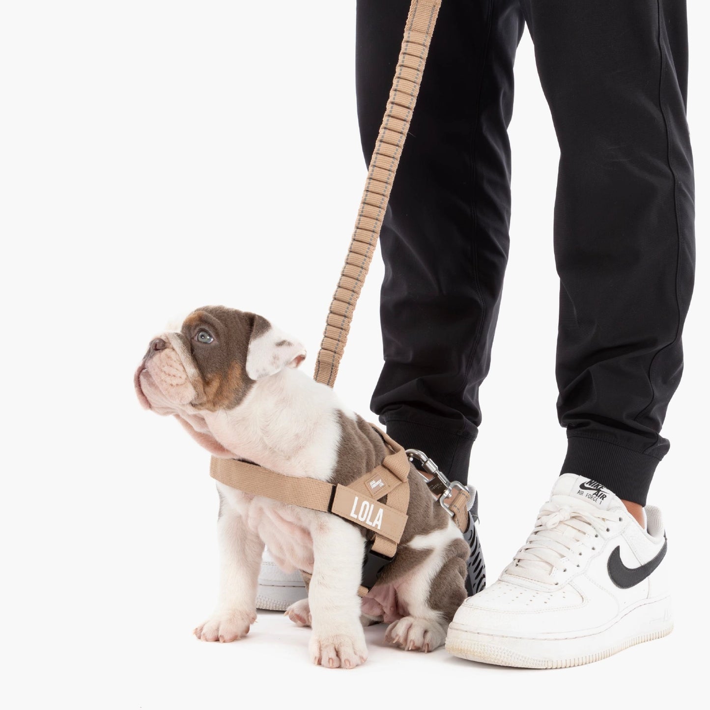 Signature Kit - Brown