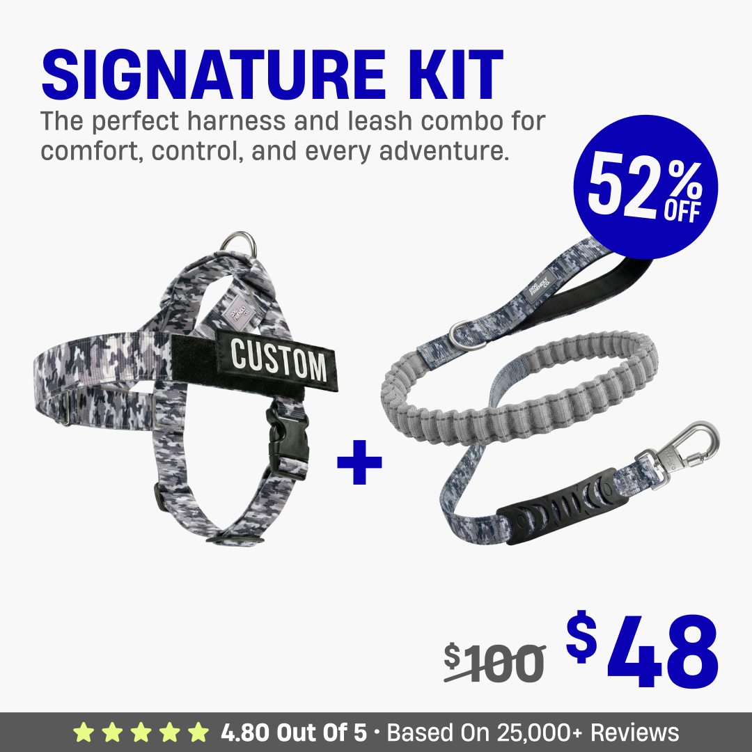 Signature Kit - 52% OFF