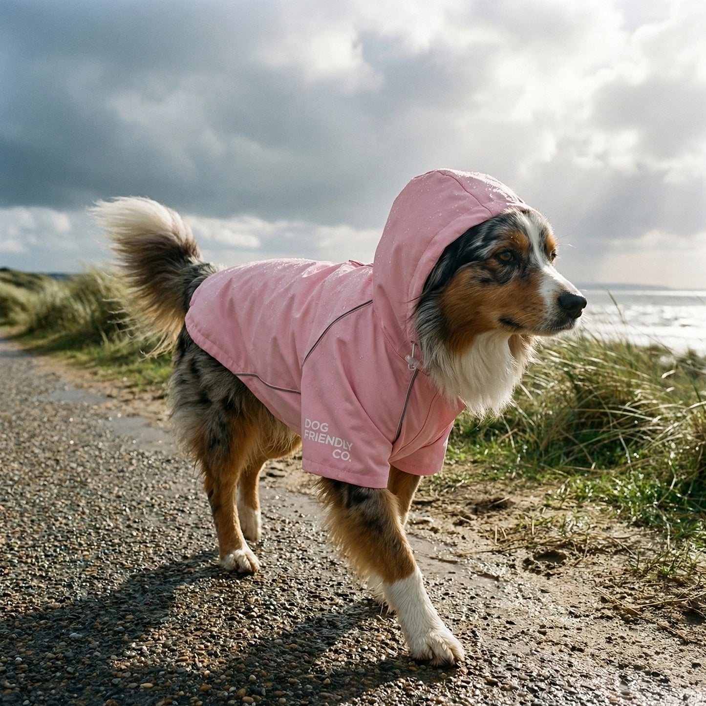 Storm Pro Raincoat - Pink